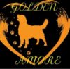 Golden Amore Dog Boarding, Grooming & Training